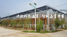 陕西生态餐厅设计建造