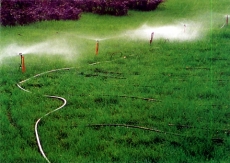 英德节水灌溉技术