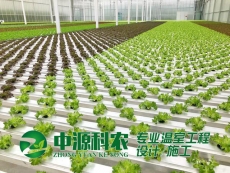武汉中源科农环保技术有限公司