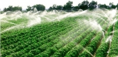 吉林水肥一体化技术公司