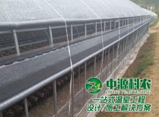 湘潭食用菌温室大棚公司建设、温室建造、大棚建设