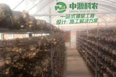 青州食用菌温室大棚公司建设、温室建造、大棚建设